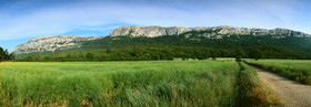 paris-9b-ref-150x52cm-18-st-baume-ble-vert30x75-copie.jpg