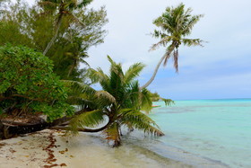 PACIFIQUE SUD