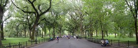 CENTRAL PARK  LITERARY WALK NEW YORK CITY MANHATTAN  New york photo panoramique couleur  FORMAT DISPONIBLE    33X95cm ( et 20X60cm en vente direct uniquement )pas de telechargement disponible.A chaque format correspond une éditions limitée spécifique .© collection P GUZIKA titre indicatif suivant la finition, tarif encadré vente direct:150 x 52 cm 180€ non disponible33   x 95 cm   99€20   x 60 cm   39€disponible en  30 X10 cm  sur stand en vente directDISPONIBLE SUIVANT STOCK -  CRÉATION JOURNALIERE  -