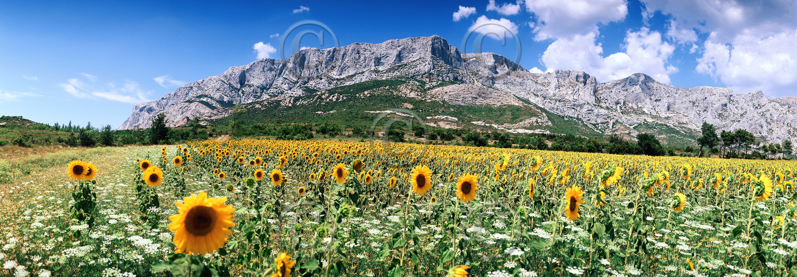 paris-4-95x372021-sainte-victoire.jpg