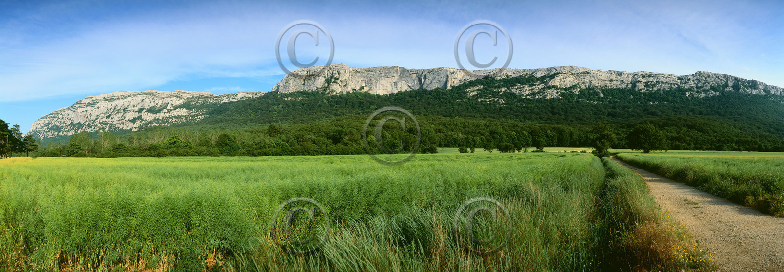 paris-9b-ref-150x52cm-18-st-baume-ble-vert30x75-copie.jpg
