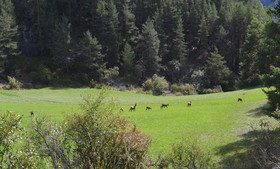 queyras oct 2025