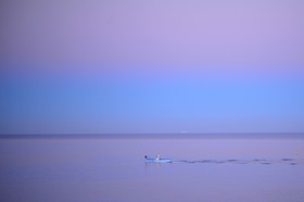 couleur-calanque-voilles-de-st-tropez-2014-4483.jpg