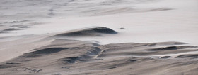 CAMARGUES HIVERS