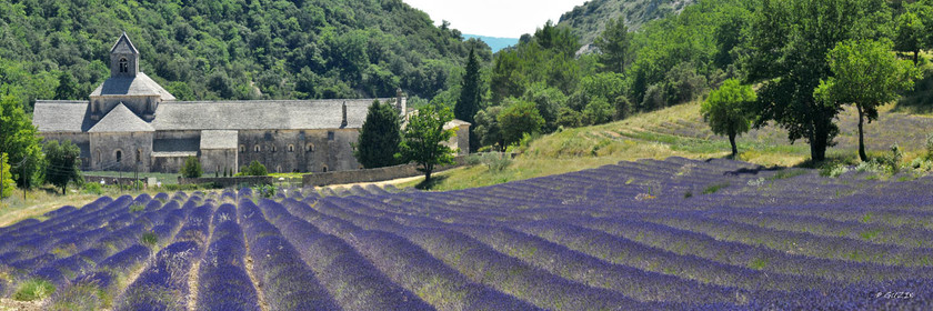 Selection format 20X60 cm