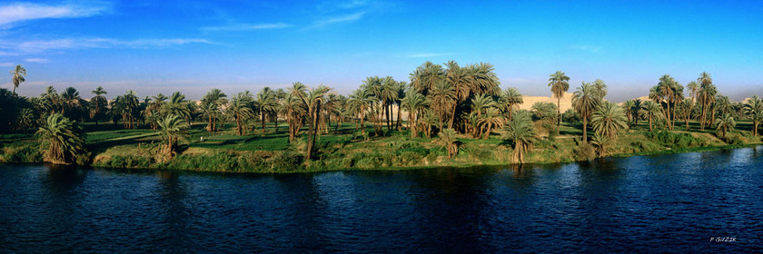 Selection format 20X60 cm