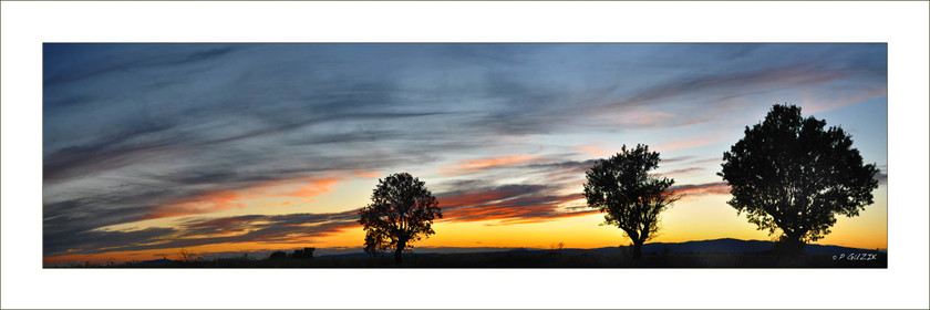 Selection format 20X60 cm