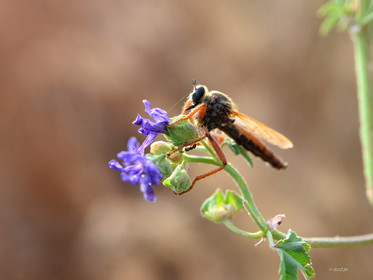 MISE A  JOUR  en cours
